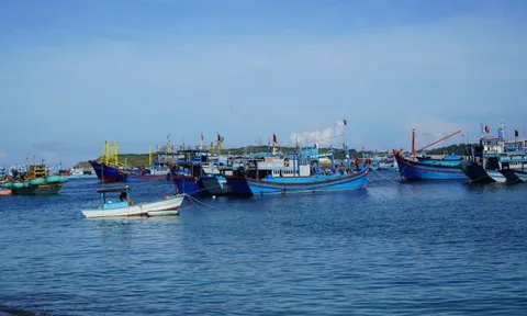 Cứu ngư dân Bình Thuận gặp nạn ở đảo Trường Sa lớn khi đánh bắt hải sản