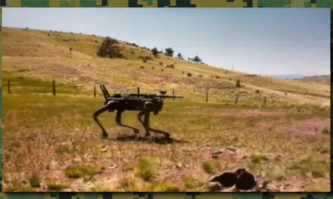 Đặc nhiệm Mỹ thử nghiệm “chó robot” trang bị vũ khí kích hoạt từ xa