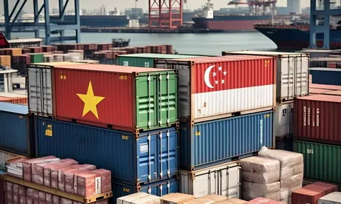 Singapore tăng mạnh nhập khẩu hàng Việt Nam: Đâu là sản phẩm khiến đảo quốc này đặc biệt ưa chuộng?