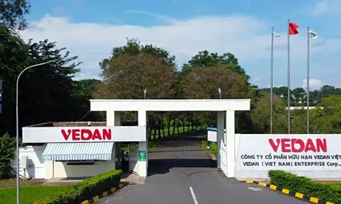 Đại gia mì chính, bột ngọt lớn nhất Đông Nam Á than 'khốc liệt' dù thị trường Việt Nam đem về hơn 4.000 tỷ doanh thu, vượt trội so với Nhật Bản, Trung Quốc, Mỹ