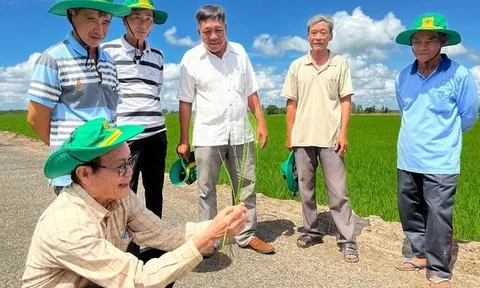 DN phân bón khuyên người dân bón ít phân hơn và một con đường để tiếp cận thị trường 12.000 tỷ USD