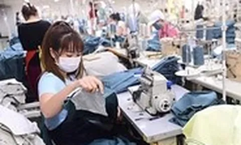 Dệt may muốn tăng tự chủ nguyên liệu
