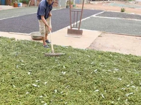 Mỹ liên tục săn lùng một 'báu vật' nông sản của Việt Nam: Nước ta xuất khẩu vượt xa cả thế giới, thu về gần nửa tỷ USD kể từ đầu năm