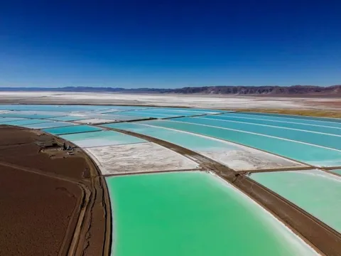 Trung Quốc ra động thái bất ngờ, thị trường ‘vàng trắng’ bùng nổ, giá tăng dựng đứng